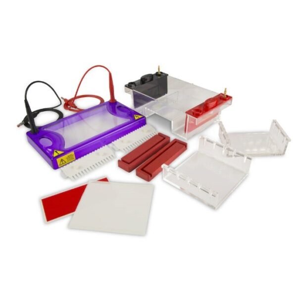 multiSUB Midi, Midi Horizontal Electrophoresis System1